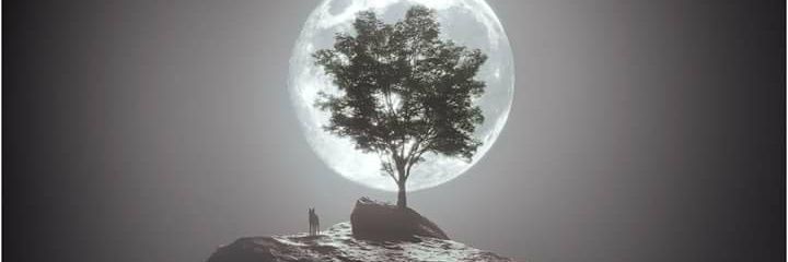 maqsood899's profile banner image