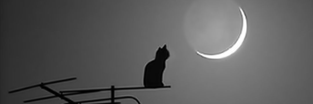 とりかわ banner