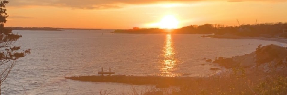 DomeniquePage's profile banner image