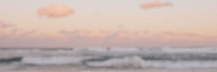 milogonz_'s profile banner image