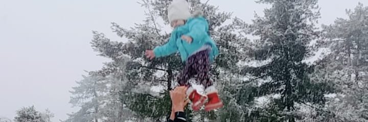 mehmet arslan banner