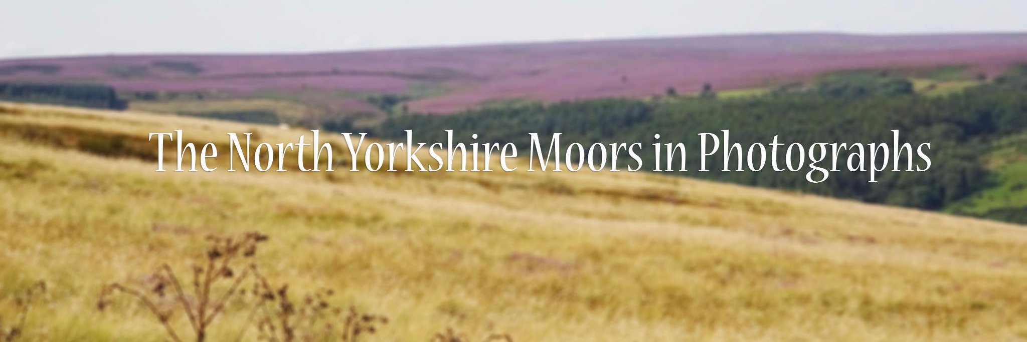 nyorkshiremoors's profile banner image