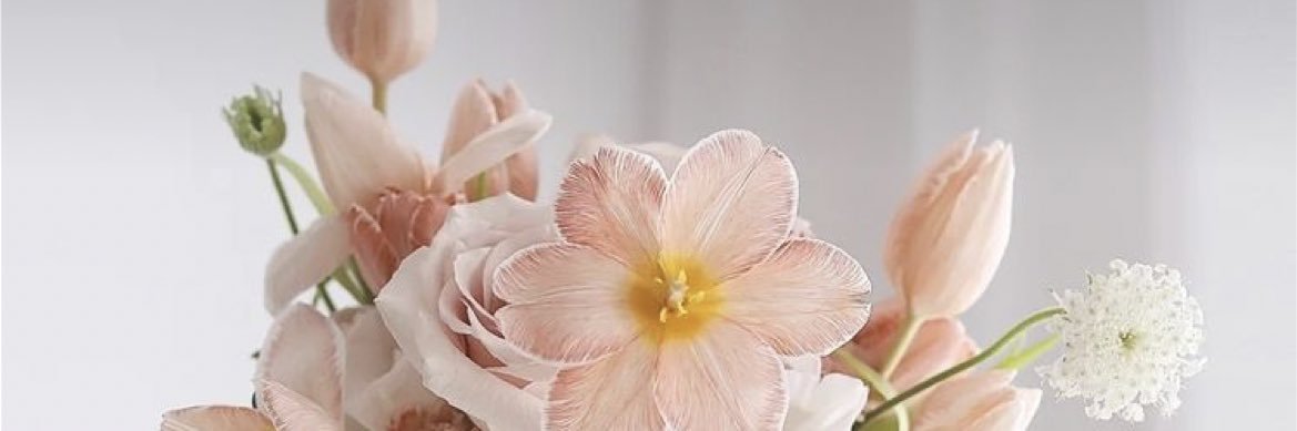auliaslcha's profile banner image