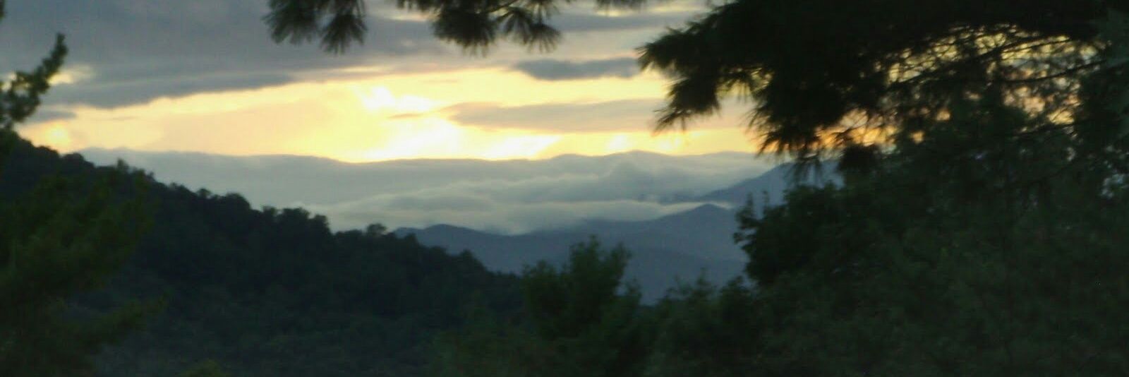 MaryPoulos2's profile banner image