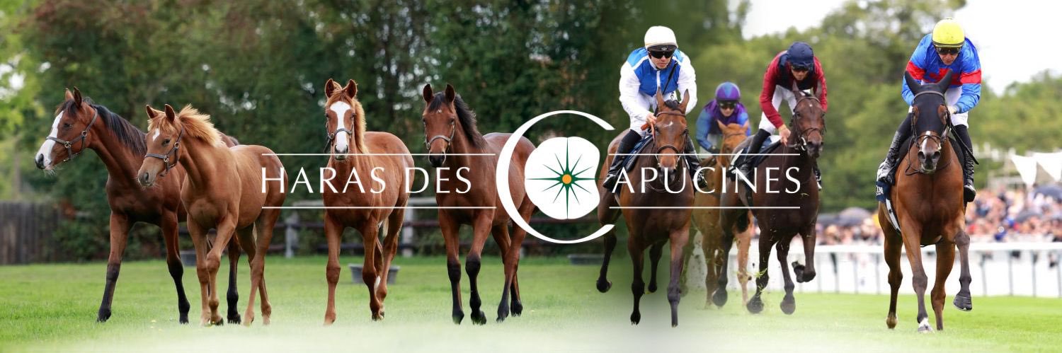 Haras des Capucines banner