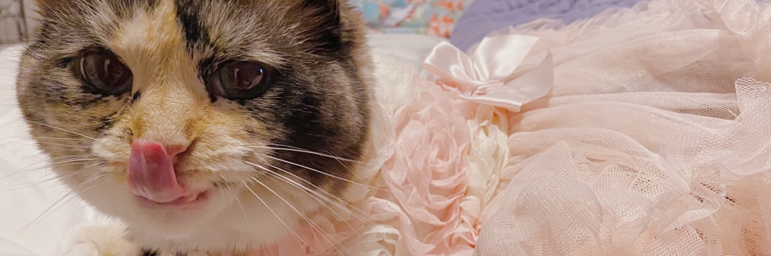 taylor_hilll's profile banner image