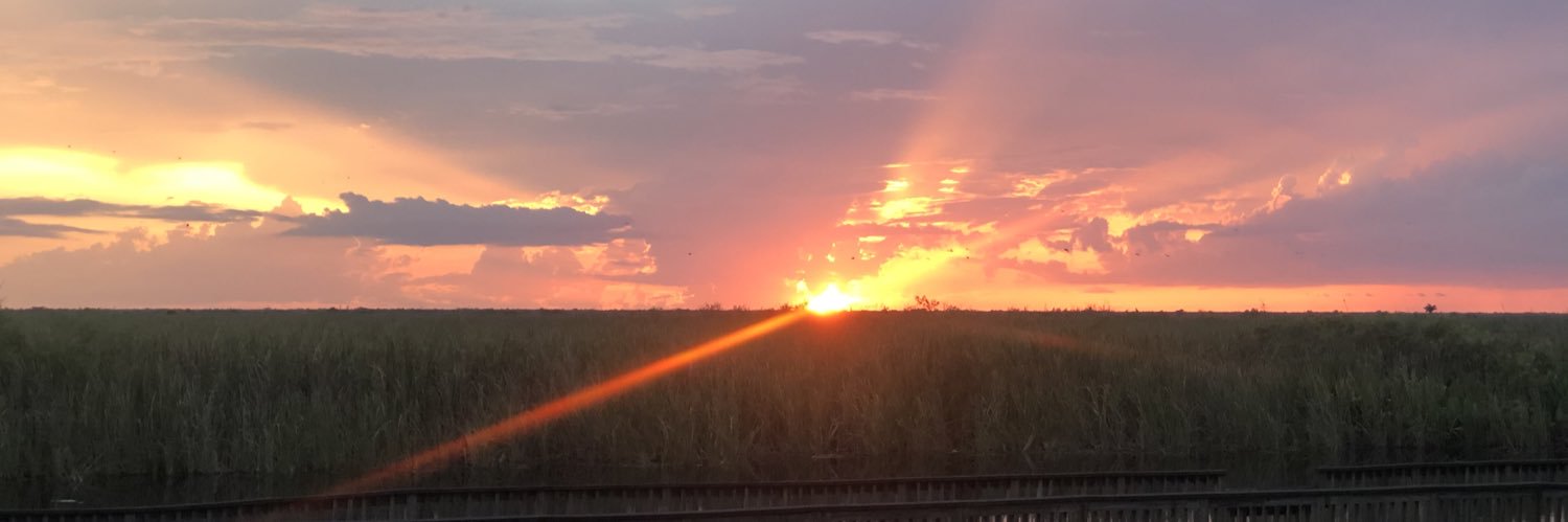 BriaClemons's profile banner image