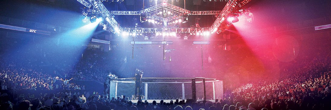 UFC Arab banner