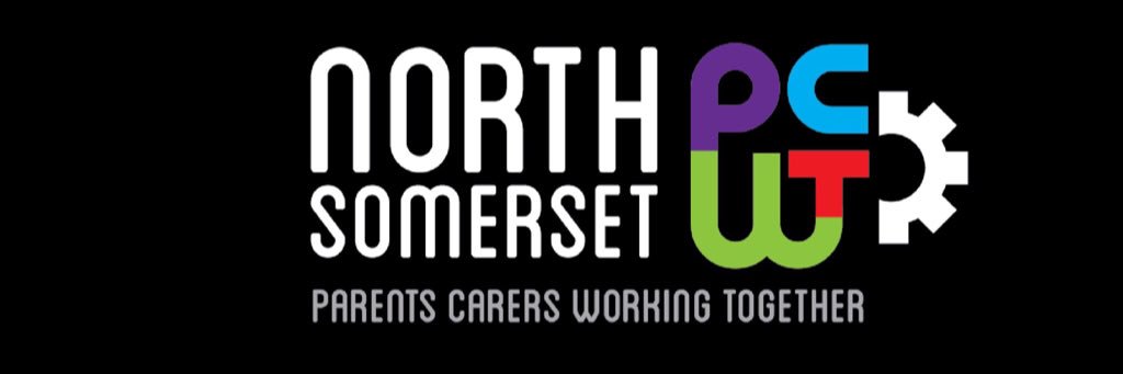 North Somerset Parent Carers Working Together banner