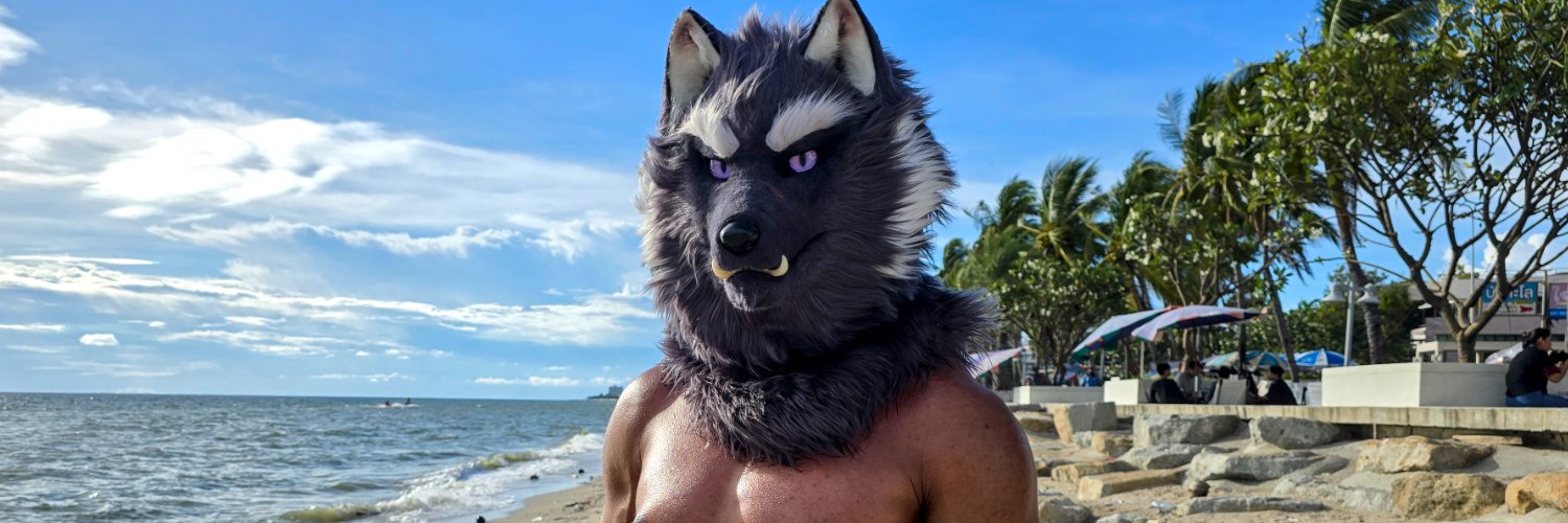Constrictorz's profile banner image