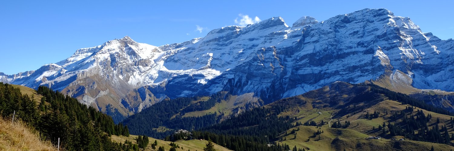 Ruud van Heeswijk banner