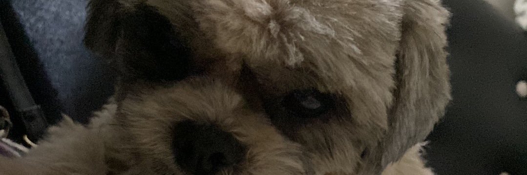 sainttjay's profile banner image