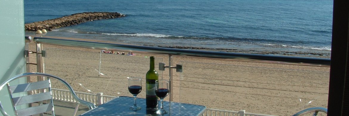LosLocosBeach.com banner