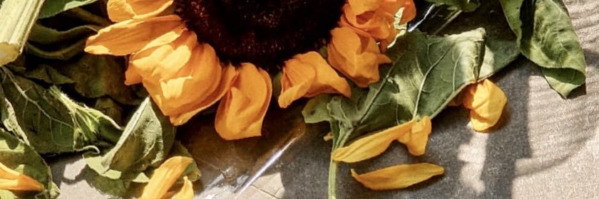 naranesn's profile banner image