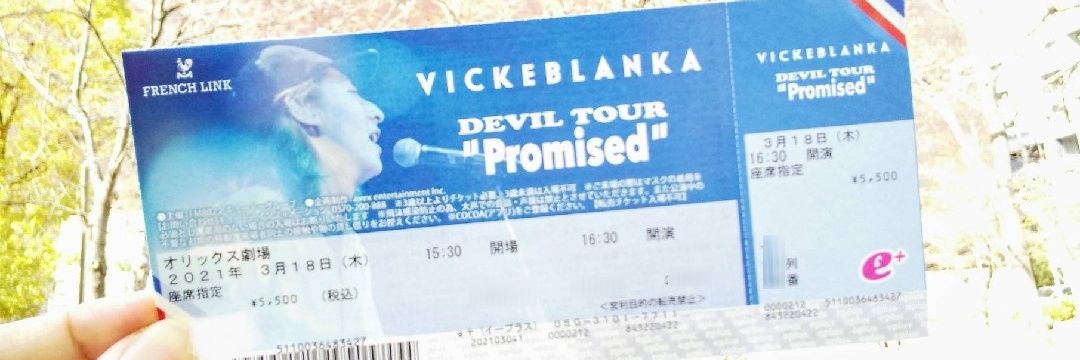 がごちょん banner