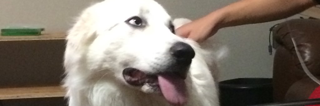 DonaldtheAZN's profile banner image