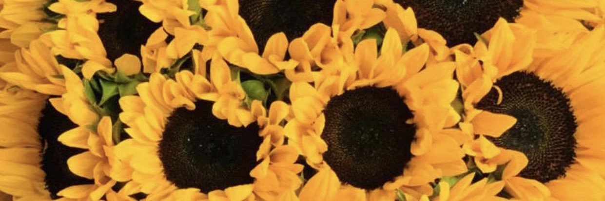 LinaJCN's profile banner image