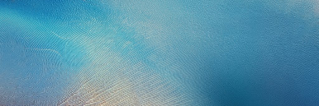 Daniel Roberts banner