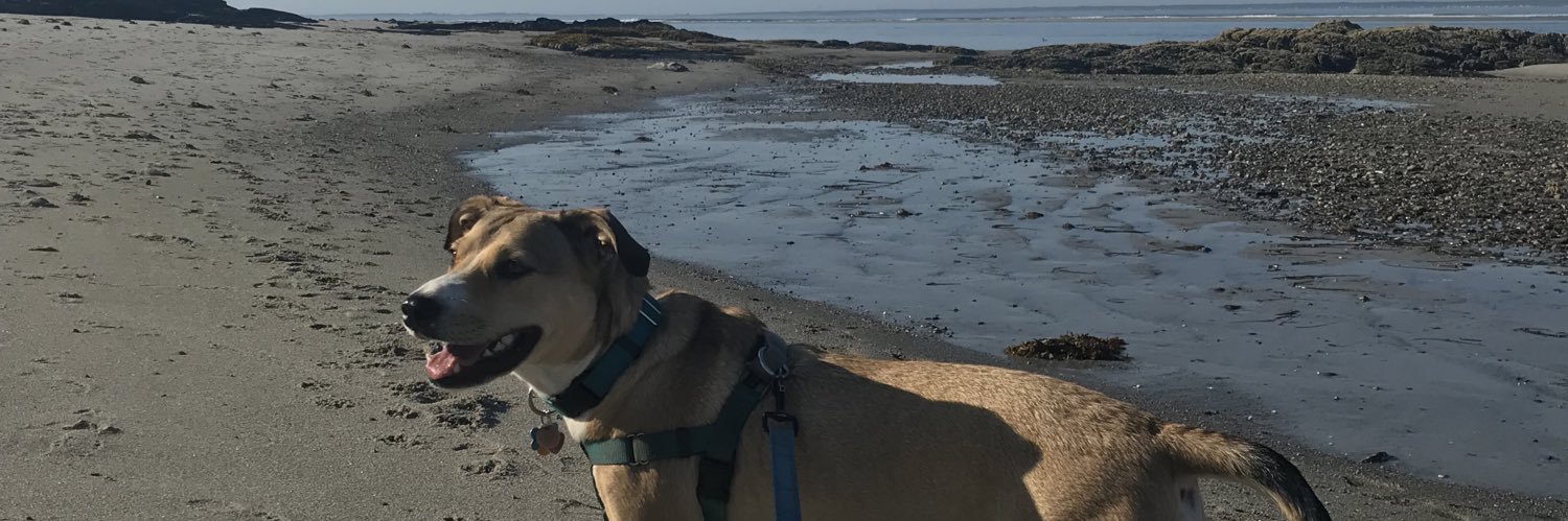 seescoops's profile banner image