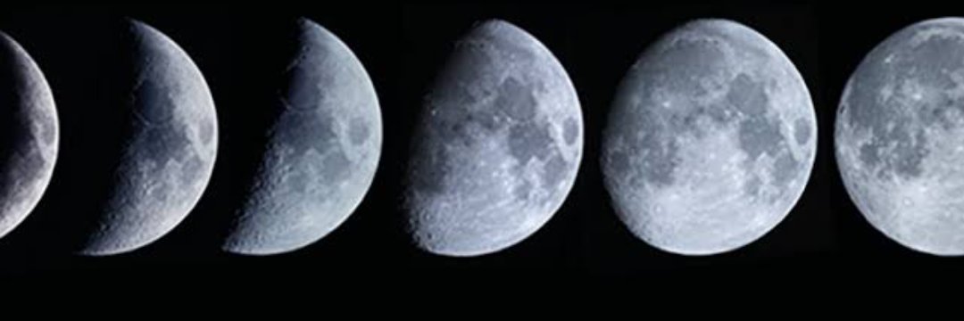 FdrsLeticia's profile banner image