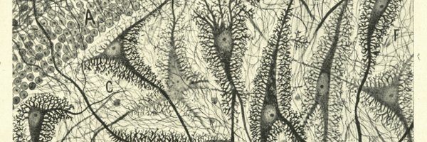 UofTNeurology Profile Banner