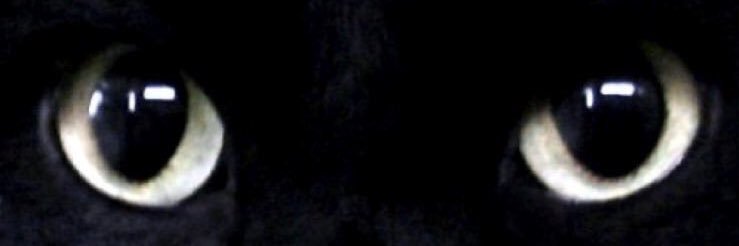 🏴‍☠️❤️ Eliška Sovele ❤️🏴‍☠️ banner