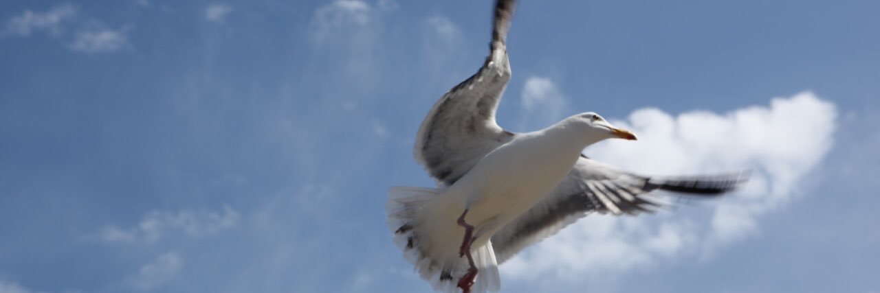 abcualllater's profile banner image