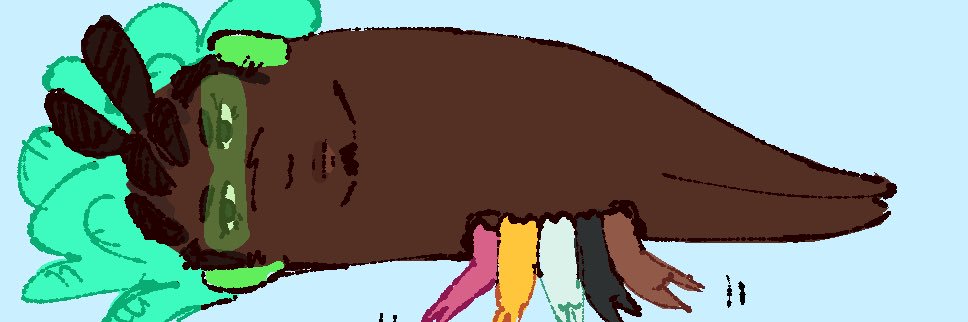 Dolphinman banner