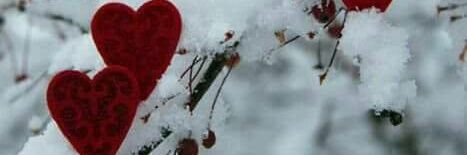 محہمد عہماد الہسہطہوفُہ~❤️ banner