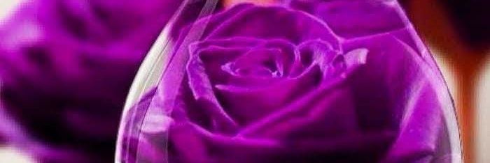 Microdri2000's profile banner image