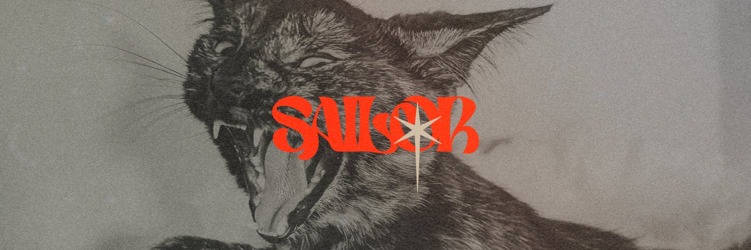 ⭑ 𝖘𝖆𝖎𝖑𝖔𝖗 ⭑ banner