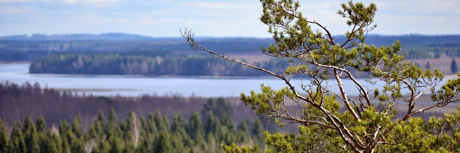 theinonen's profile banner image