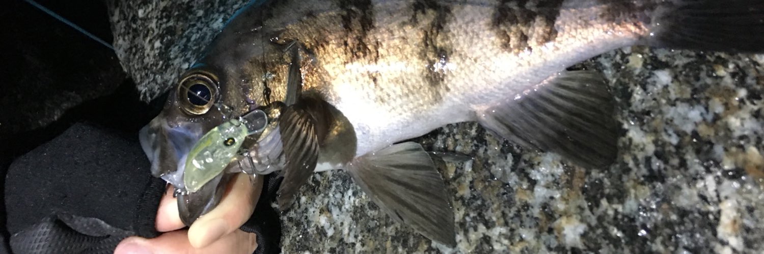 魚釣り大好きおじさん profile