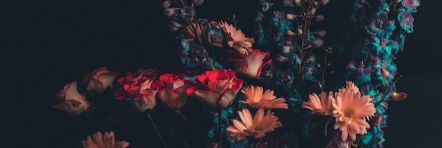 AndrewAllianc3's profile banner image