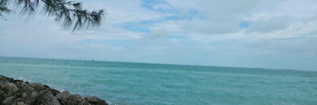scdecat's profile banner image