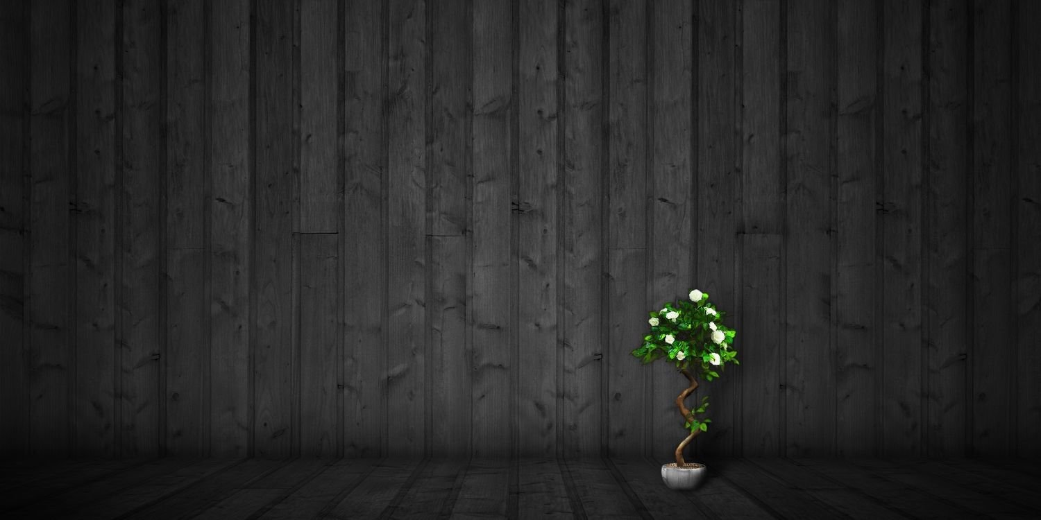 shnkgupta's profile banner image