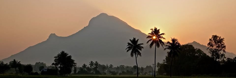mandameh's profile banner image