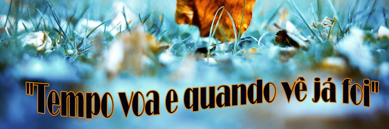 LetraMusica100's profile banner image