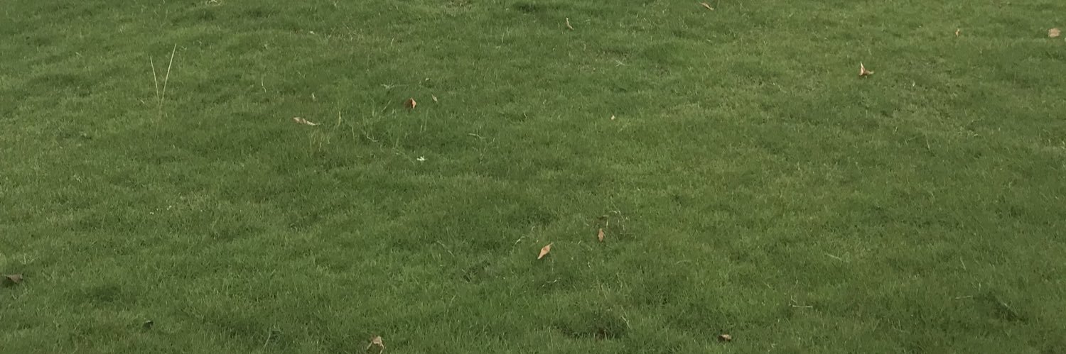 winniebae🍓🐶🤍 banner