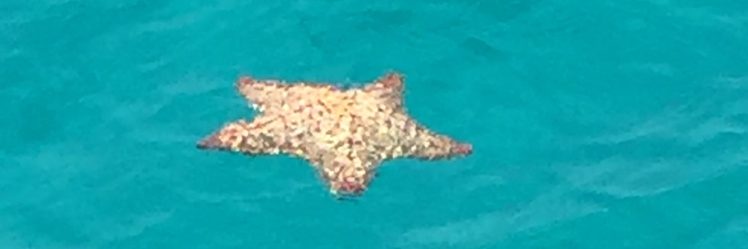 jaccilucas's profile banner image