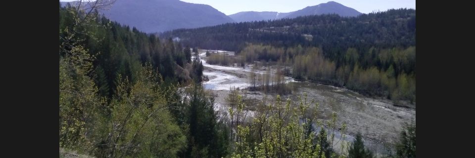 SusanMcginni's profile banner image