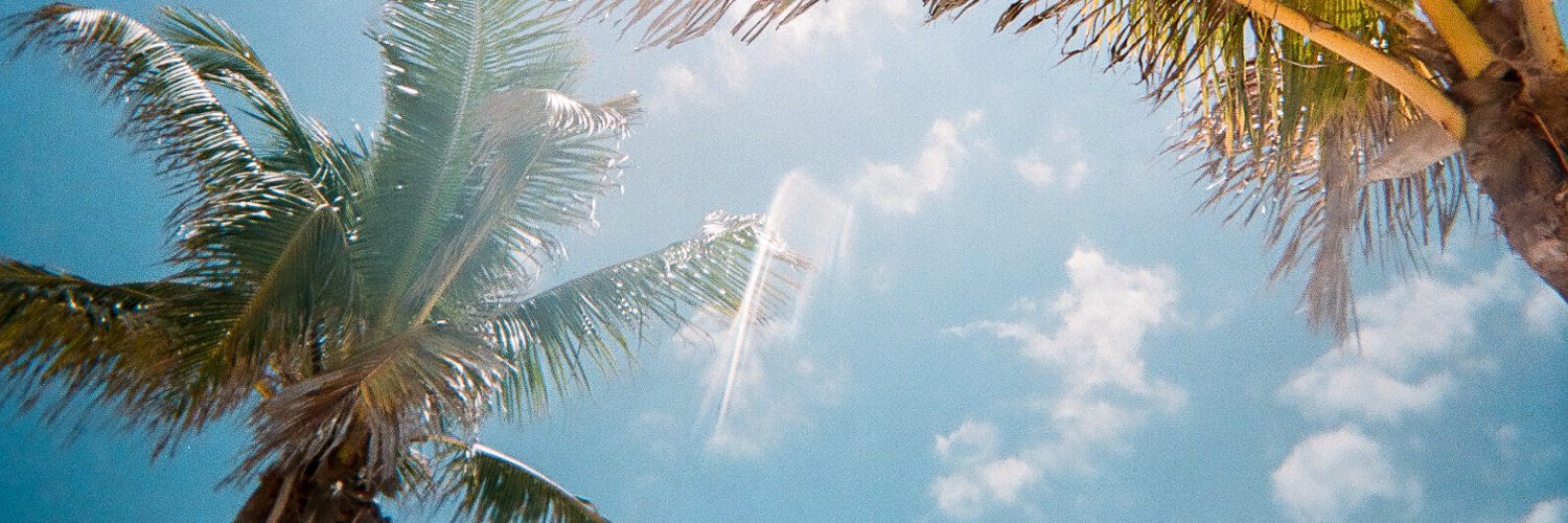 LindseySellsFL's profile banner image