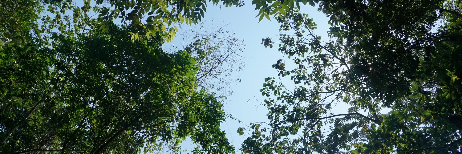 aaaannngggg's profile banner image