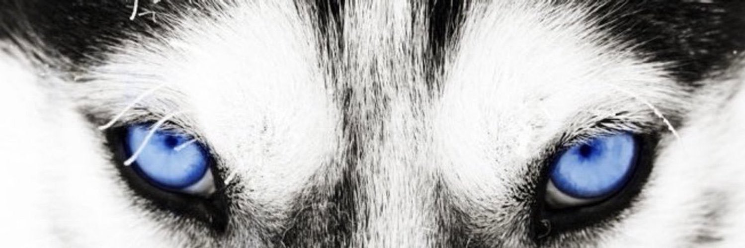 CoachWard💰💎 banner