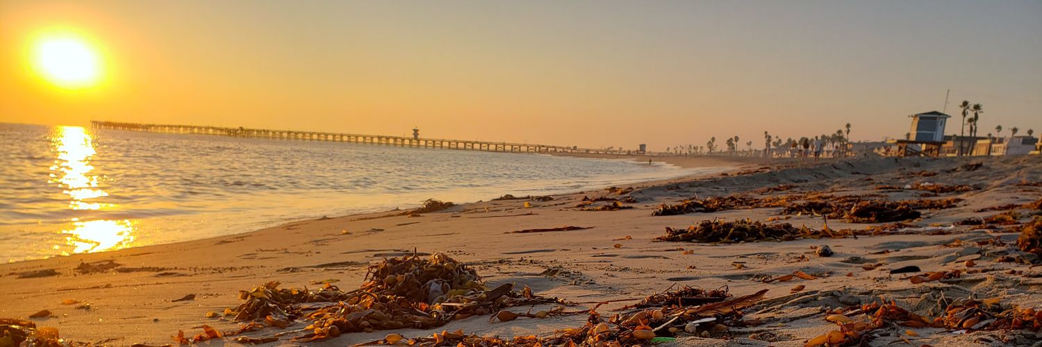 Violet Renick banner