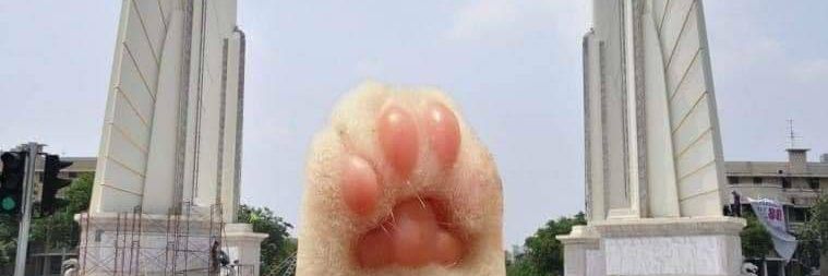 しúçíFëR 🐶 banner