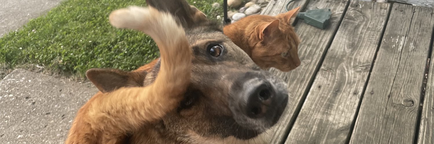 lararaeee's profile banner image