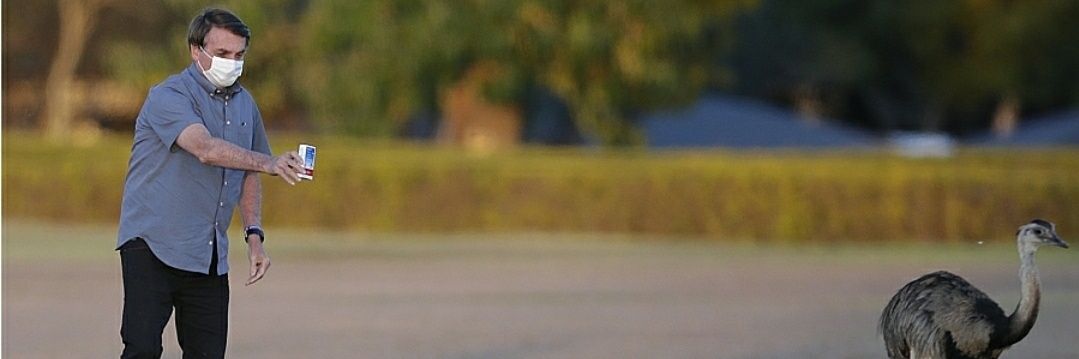 Jefferson_koch's profile banner image