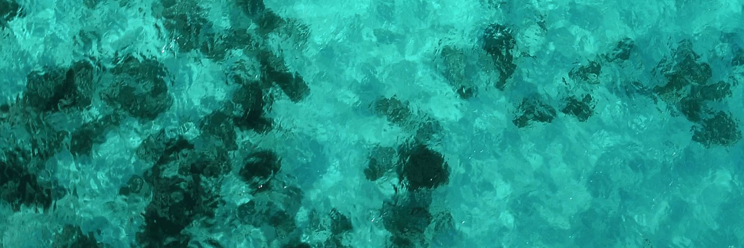 munchhkiinn's profile banner image