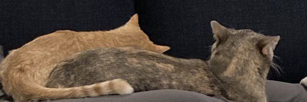 mccarthy Profile Banner